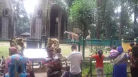 Libur Paskah, Pengunjung Ragunan Bakal Tembus 50 Ribu Orang