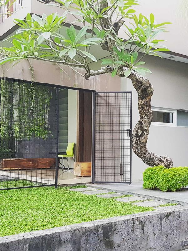 Pohon tunggal di taman minimalis. (dok. Arsitag.com)