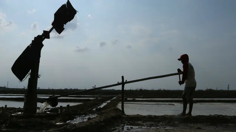 Saat Pemerintah Buka Lahan Tambak Garam Baru Di Indonesia Timur