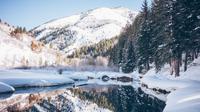(unsplash.com/@coloradocolby)