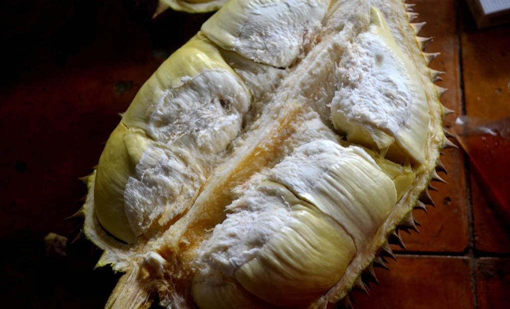 Kulitnya tipis, dagingnya tebal. Warna merah kekuningan pada daging durian cani sungguh menggugah selera. (Foto: Liputan6.com/Muhamad Ridlo)