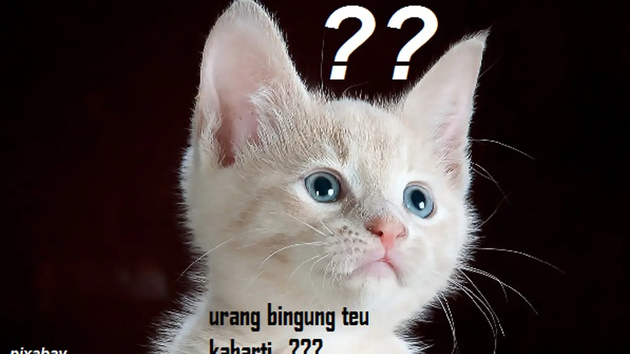 Bukti Tanda Baca Jadi Hilang di Perdebatan Orang Sunda dan Padang