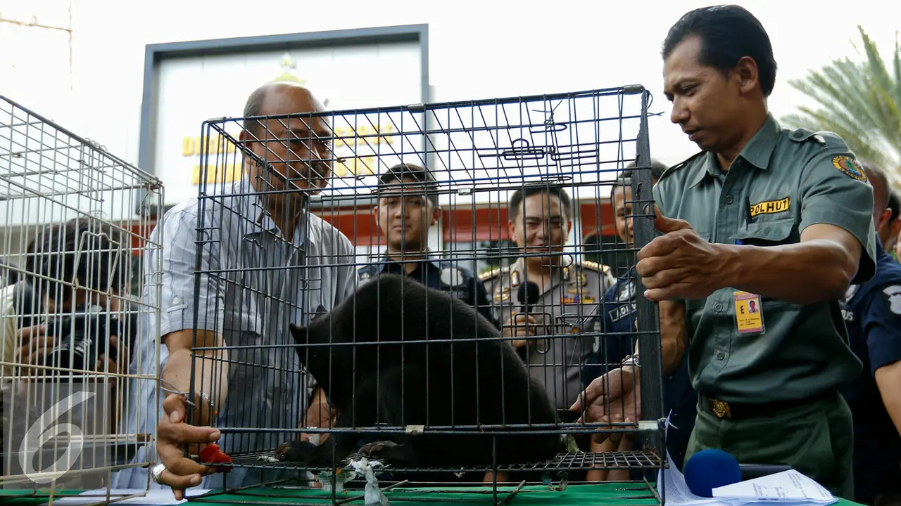 20151118--Penjualan-Satwa-Langk-Jakarta-YR