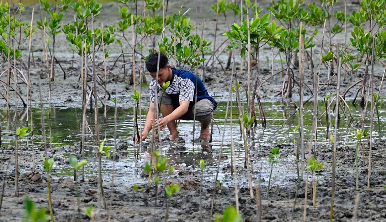 Kegiatan ini bagian dari program edukasi dan kepedulian lingkungan. (CHAIDEER MAHYUDDIN/AFP)