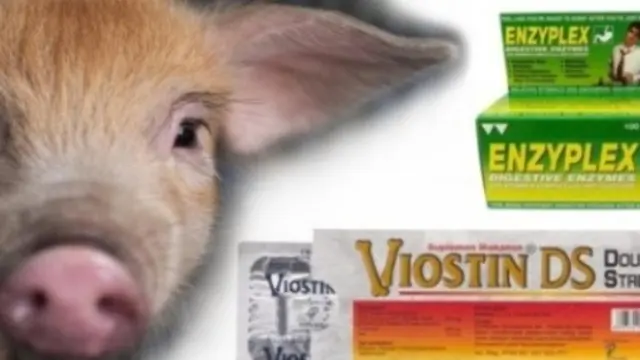 Viostin DS dan Enzyplex positif mengandung babi (Kapanlagi.com)