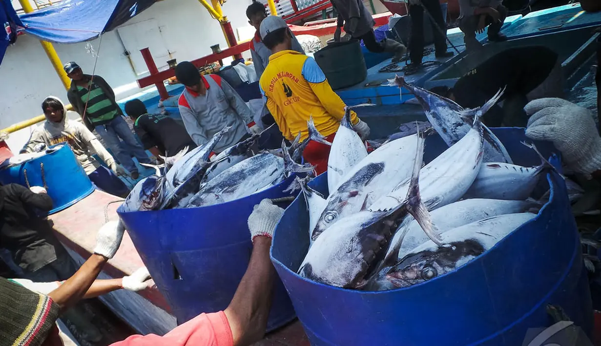 Ikan-ikan segar ini diprediksi harganya akan melonjak karena kelangkaan BBM, Jakarta, Kamis (28/8/2014) (Liputan6.com/Faizal Fanani)
