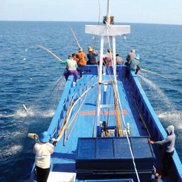 Keajaiban Mancing Cakalang Di Laut Maluku Utara News Liputan6 Com