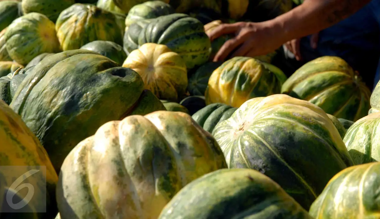 Kandungan air yang tinggi pada blewah mampu mengganti cairan tubuh dengan cepat setelah seharian berpuasa. Tidak hanya itu, kandungan nutrisi dalam buah blewah mampu meningkatkan daya tahan tubuh lho! (Liputan6.com/Miftahul Hayat)