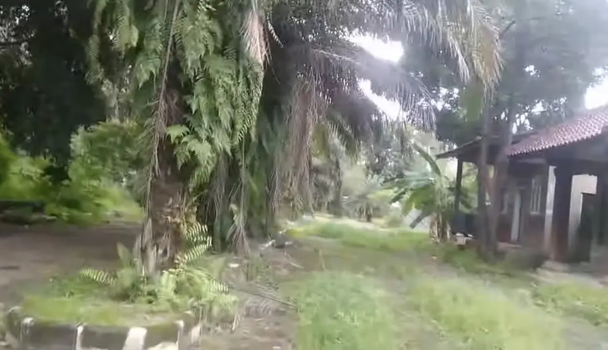 Kampung Artis (Youtube/Bob Larron creator)