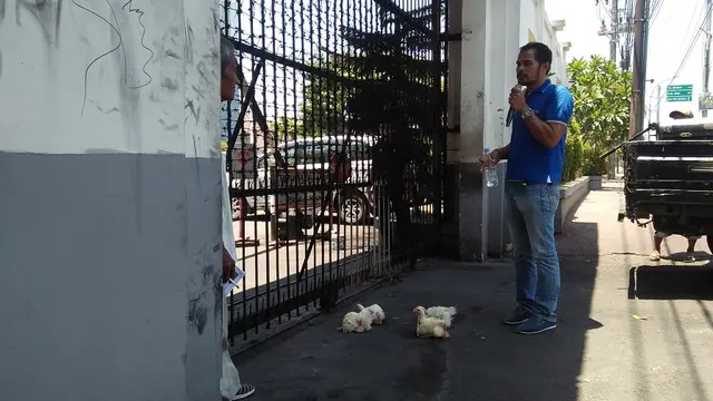 4 ekor ayam persembahan mahasiswa untuk Kejati Sulsel (Liputan6.com/ Eka Hakim)