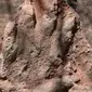 Seorang pendaki amatir kaget saat menemukan fosil kaki dinosaurus yang hidup 230 juta tahun yang lalu