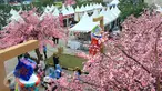 Suasana acara Orange County Sakura Matsuri, Lippo Cikarang, Sabtu (8/4). Acara yang diselenggarakan keenam kalinya ini sebagai bentuk upaya membangun persahabatan Indonesia Jepang sekaligus menyambut musim semi di Jepang. (Liputan6.com/Fery Pradolo)