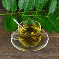 ilustrasi resep daun mimba/Ninetechno/Shutterstock