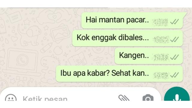 5 Chat Mantan Tanya Kabar Ibu Ini Bikin Baper