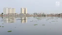 Suasana Waduk Pluit yang banyak tumbuh enceng gondok, Jakarta, Senin (17/12). Kurangnya perhatian serta perawatan menyebabkan tanaman yang berpotensi menjadi hama tersebut kembali tumbuh dan berkembang di Waduk Pluit. (Liputan6.com/Immanuel Antonius)