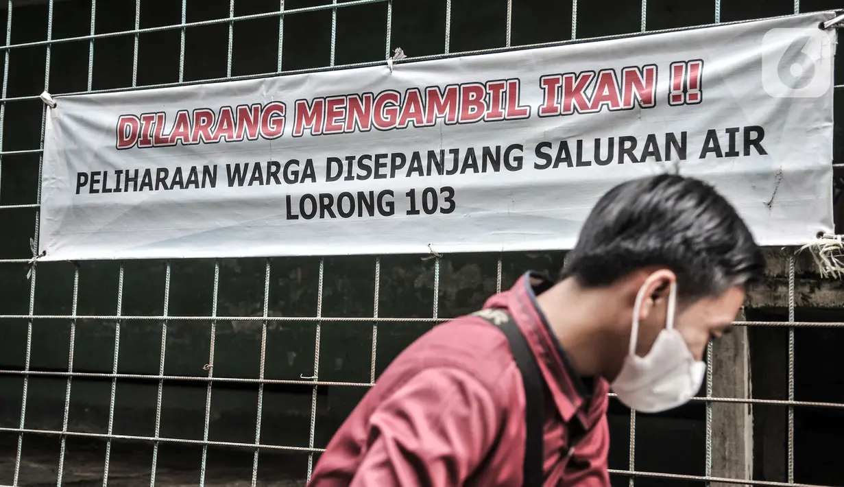 Warga melihat ikan di dekat spanduk imbauan yang dipasang di sekitar selokan di Jalan Lorong 103, Koja, Jakarta, Senin (1/3/2021).  Kolam tersebut terdapat berbagai jenis ikan mulai nila, mujair, patin, koi, hingga lele dengan tujuan menciptakan saluran air yang bebas sampah. (merdeka.com/Iqbal S.
