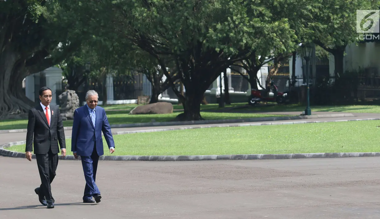Presiden Joko Widodo (Jokowi) berjalan bersama PM Malaysia, Mahathir Mohamad usai menaman pohon di halaman belakang Istana Bogor, Jumat (29/6). Sebelum kegiatan menanam pohon, PM Malaysia disambut dengan upacara kenegaraan. (Liputan6.com/Angga Yuniar)