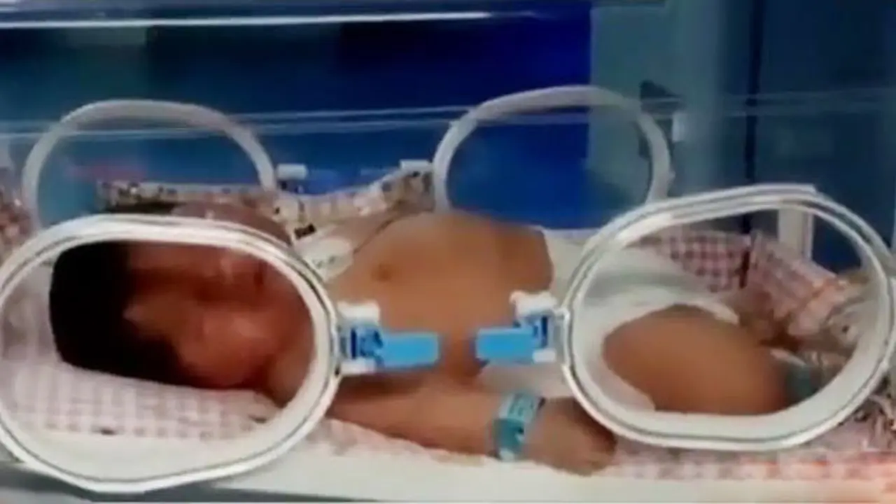 Bayi Raksasa