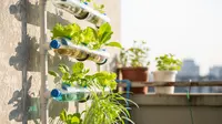 Desain Kebun Hidroponik Hemat Air, Solusi Bertani Modern yang Efisien dan Ramah Lingkungan