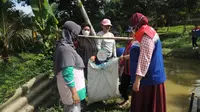 Kelompok Petratonik saat memanen ikan lele hasil budidayanya. (Liputan6.com)