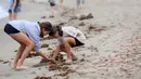 Pengunjung memeriksa beberapa dari ribuan kepiting yang terdampar di sepanjang pantai Dana Point, California, Rabu (17/6/2015). Kepiting-kepiting tersebut pada bulan Januari lalu pertama muncul di Newport Beach. (REUTERS/Sandy Huffaker)