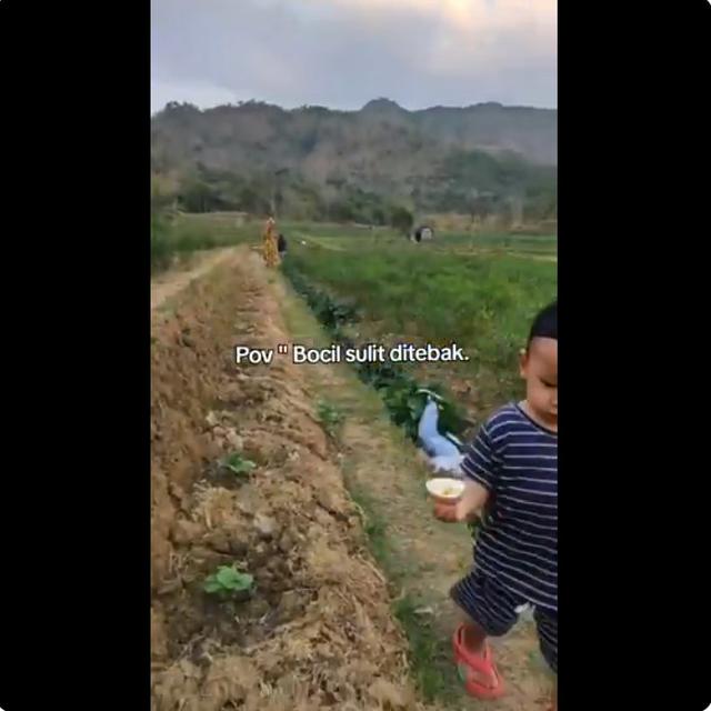 6 Momen Apes Bocil ketika Main Ini Bikin Ngakak Sekaligus Tepuk Jidat