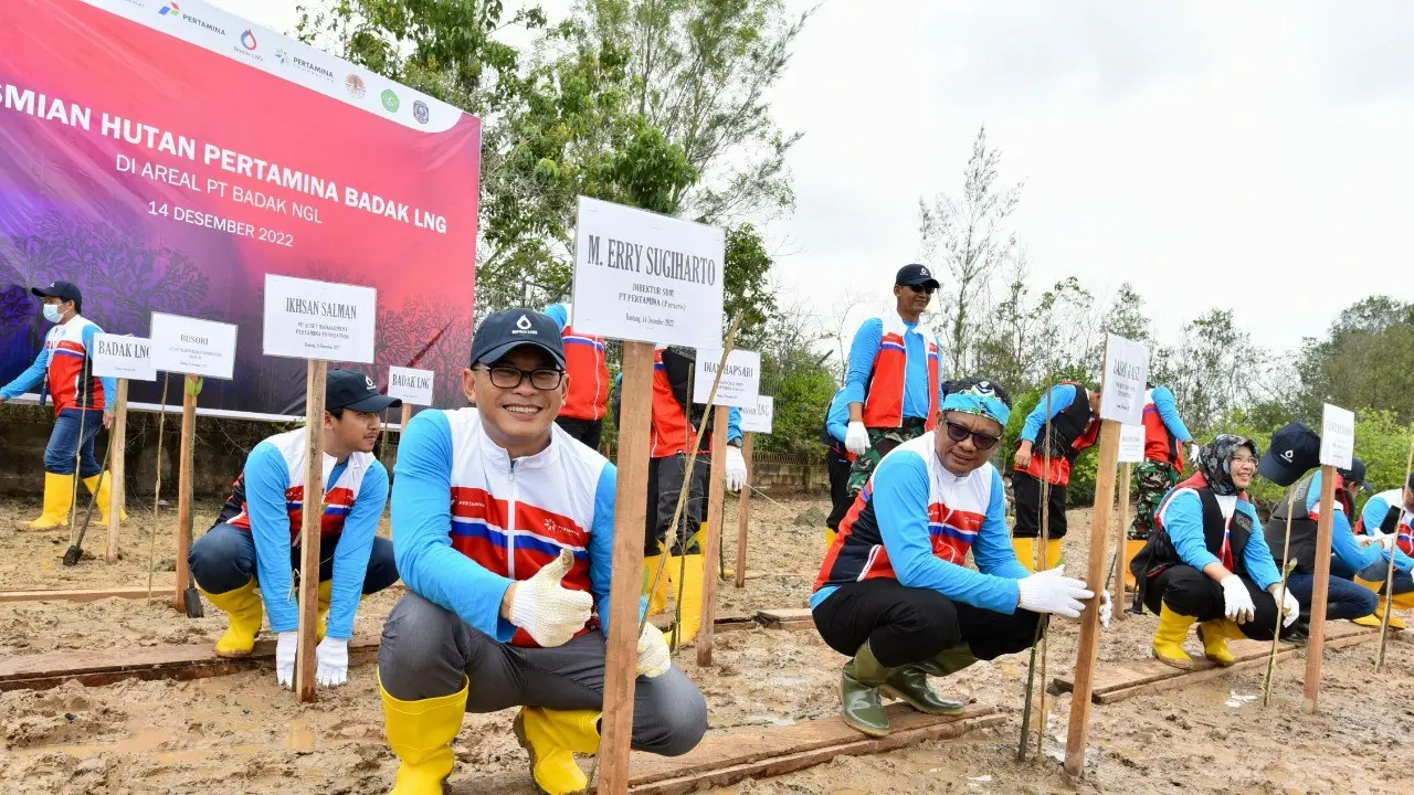 Hutan Pertamina