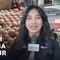 Segini! Harga Acuan Ayam dan Telur bagi Peternak