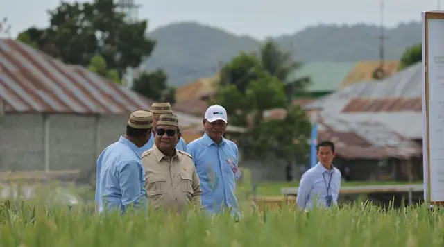 Prabowo: Indonesia Siap Buka Ekspor Bahan Pangan, Asal Petani Tak Rugi