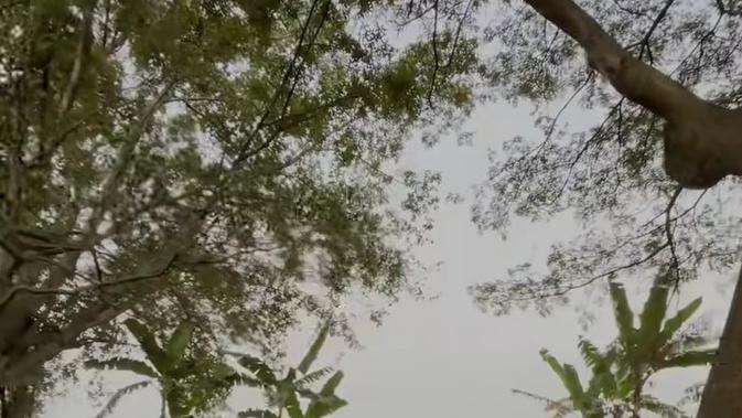 Cerita dari Peternakan Unta di Mojokerto, Lebih Tangguh dari Sapi dan Kambing