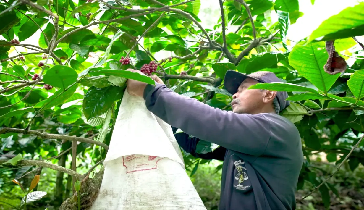 <p>Semangat masyarakatnya juga tidak kalah hebat. Mereka mampu berkolaborasi untuk membangun desa agar semakin sejahtera. Desa Trawas terletak di ketinggian rata-rata 800 mdpl. (Dok. BRI)</p>