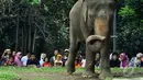 Pengunjung saat melihat satwa gajah di Taman Margasatwa Ragunan (TMR), Jakarta, Kamis (25/12/2014). (Liputan6.com/Miftahul Hayat)