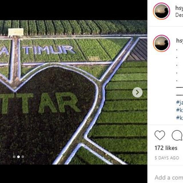 Crop Circle Di Sawah Petani Kediri Tempat Wisata Baru