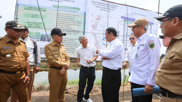 Mentan Amran Targetkan Optimasi Lahan Rawa Naikkan Indeks Pertanaman di Kabupaten Ogan Ilir
