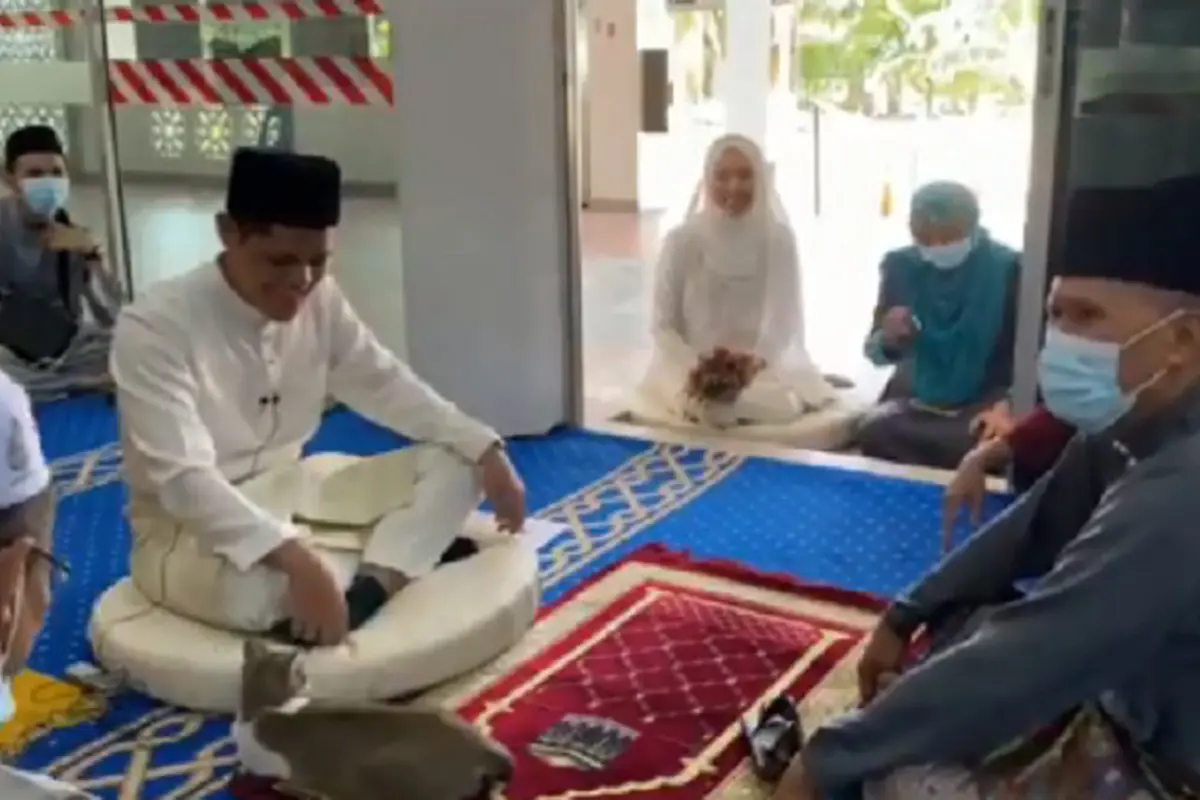 Viral Kucing Ikut Saksikan Akad Nikah, Warganet: Minta Nikah Juga