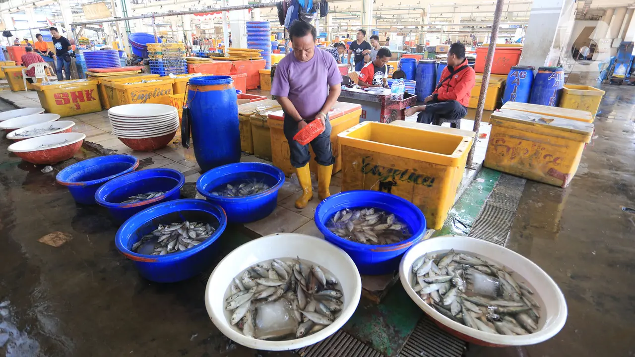 Aktivitas di Pasar Ikan Muara Baru Kembali Bergeliat