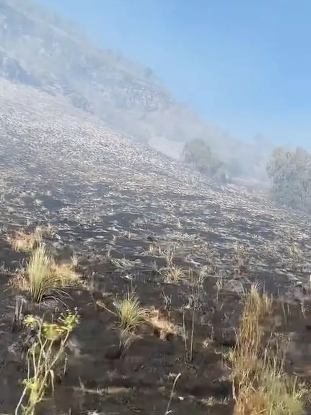 6 Potret Kondisi Terbaru Bromo Usai Terbakar Diduga Gara-Gara Prewedding Pake Flare