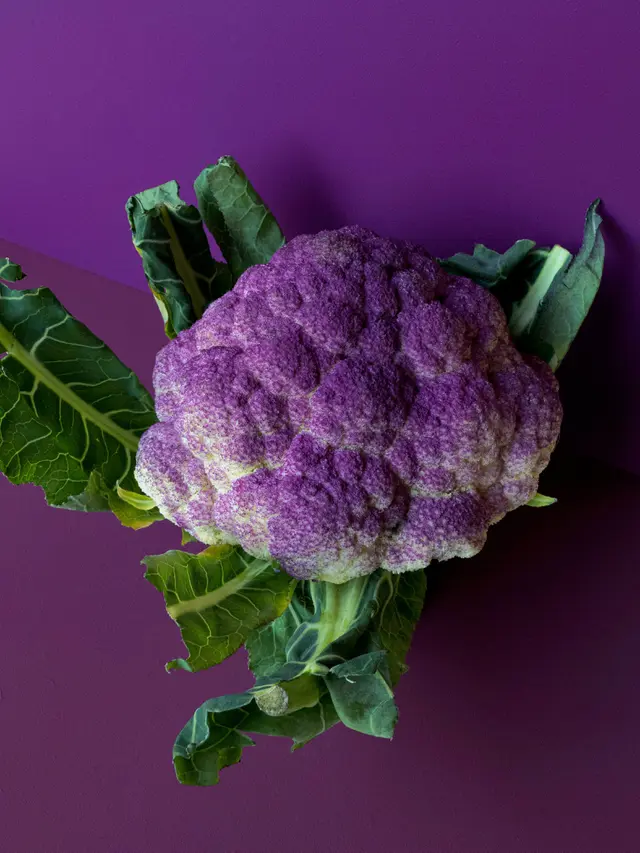 [Fimela] kembang kol ungu