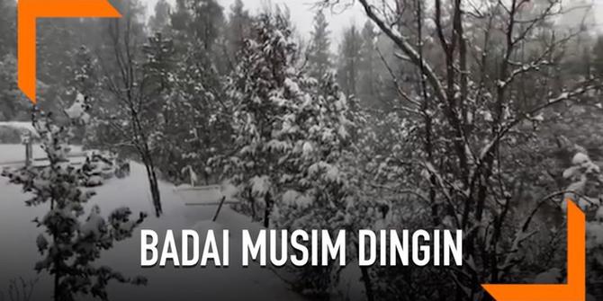 VIDEO: Warga Arizona Bersiap Hadapi Badai Musim Dingin