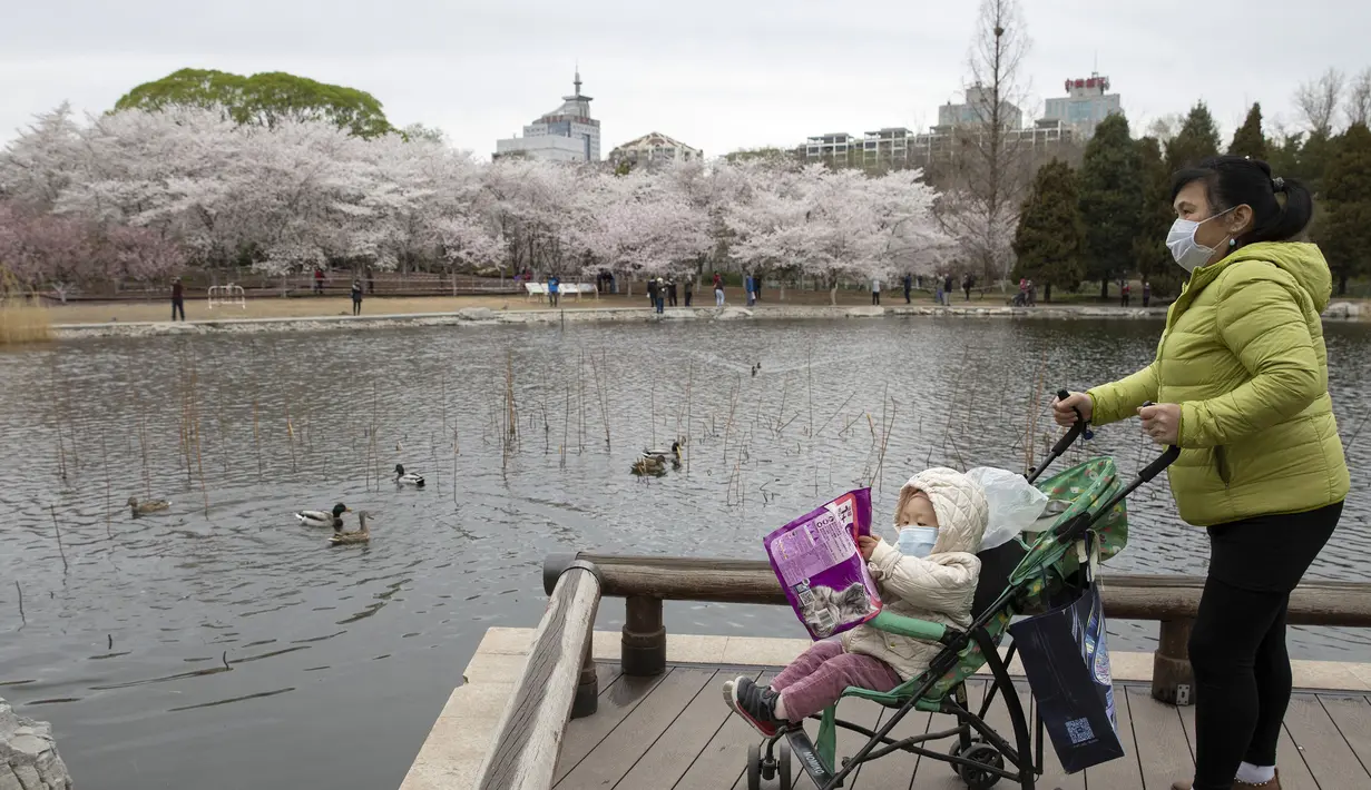 Seorang wanita membawa bayi saat menikmati bunga sakura di Taman Yuyuantan, Beijing, China, Kamis (26/3/2020). Musim semi dan bunga sakura bermekaran memikat warga untuk keluar rumah dari yang sebelumnya membatasi diri karena pandemi virus corona COVID-19. (AP Photo/Ng Han Guan)