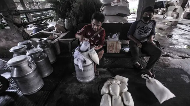 Geliat Industri Susu Sapi Perah di Masa Pandemi COVID-19
