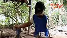 liputan6