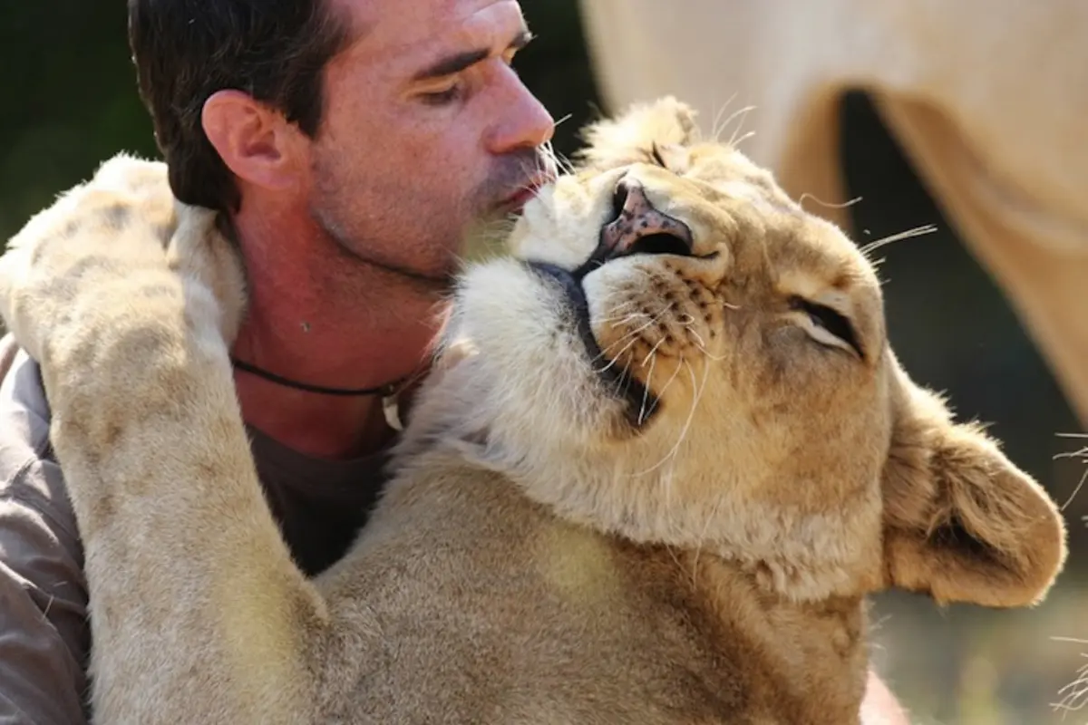 Kevin Richardson, 'Bapak' Singa dari Afrika
