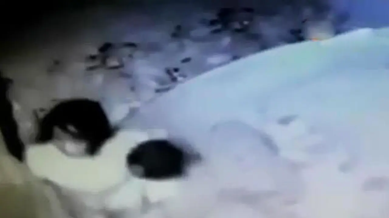 VIDEO: Pengasuh Bayi yang Berperilaku Kasar Belum Ditemukan