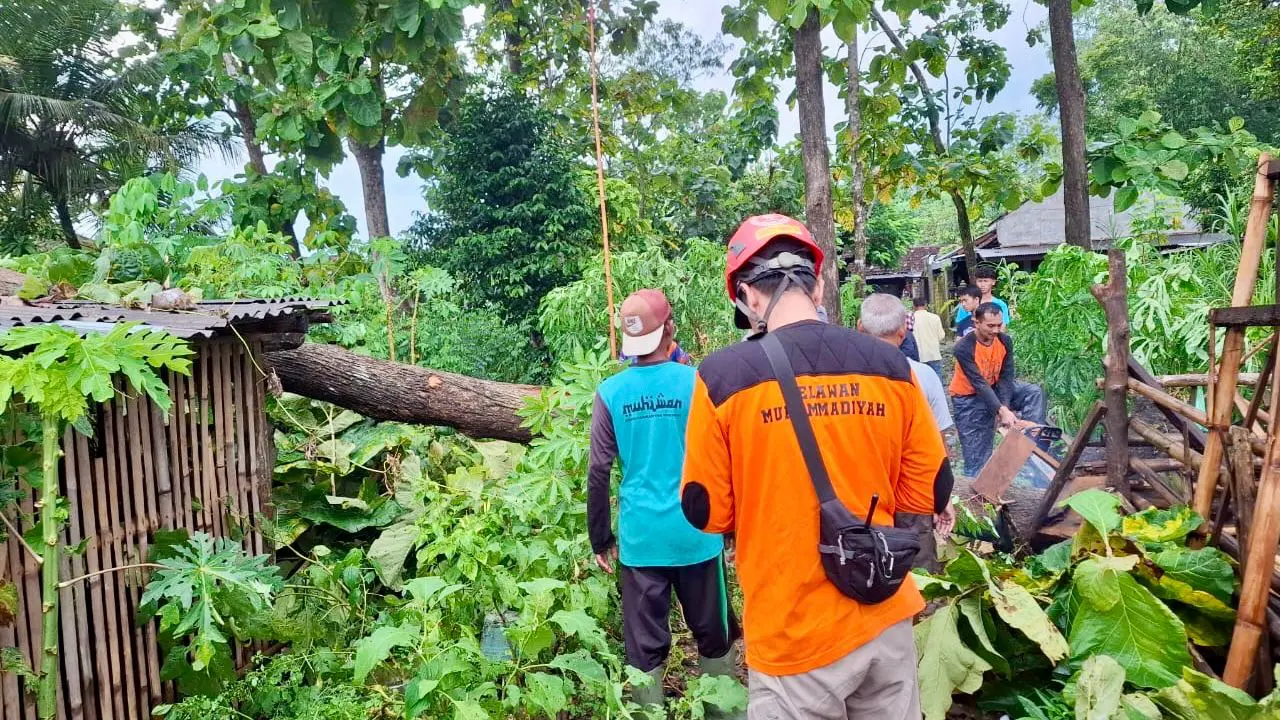 Pohon tumbang di sejumlah wilayah Gunungkidul akibat hujan deras yang terjadi pada Kamis 1 Januari 2026.