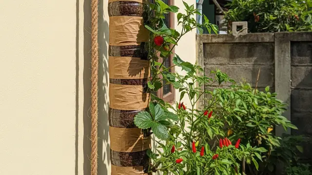 Kebun Gantung dari Botol Bekas untuk Rumah Tanpa Tanah. AI