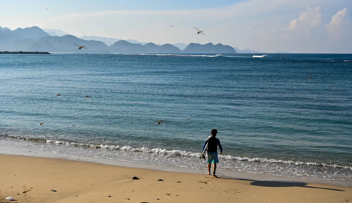 Tidak hanya itu, pasir putih Pantai Lhoknga yang lembut mengundang pengunjung untuk berjalan-jalan telanjang kaki di tepi pantai sambil menikmati hangatnya sinar matahari. Tampak dalam foto, sekumpulan capung terlihat saat seorang peselancar menuju ke air untuk menangkap ombak di pantai Lhoknga, provinsi Aceh, pada Senin 12 Januari 2026. (CHAIDEER MAHYUDDIN/AFP)