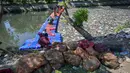 Upaya kolektif ini diharapkan dapat menghentikan kebiasaan membuang sampah ke sungai dan mengembalikan ekosistem sungai yang sehat bagi masyarakat. Tampak dalam foto, aktivis dari Ecoton (Ecological Observation and Wetlands Conservation) bersama pekerja dari Dinas Lingkungan Hidup Pemerintah Kota Surabaya, Jawa Timur, membersihkan sampah dari Sungai Kali Tebu, pada Senin 11 Mei 2026. (JUNI KRISWANTO/AFP)