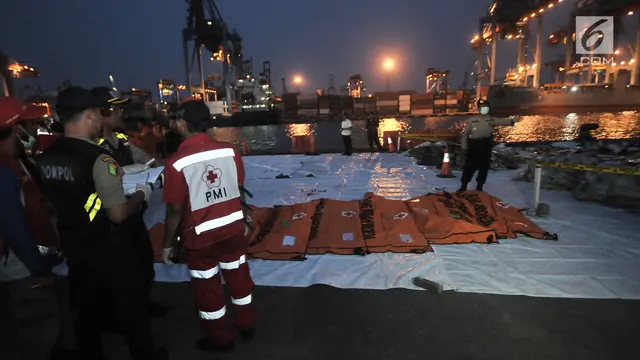 Tim SAR Kembali Temukan Potongan Tubuh Korban dan Puing Lion Air JT 610