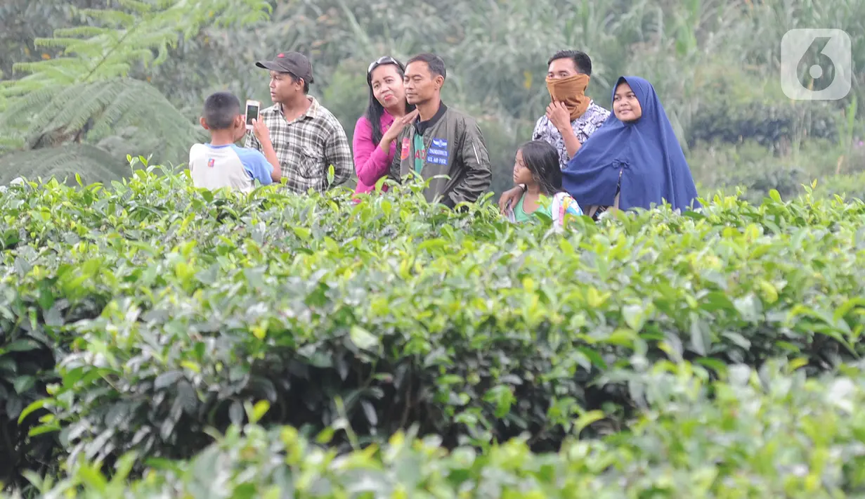 Warga berkeliling kebun teh di pinggir jalan raya yang menghubungkan Bogor-Cianjur di kawasan Gunung Mas, Puncak, Jawa Barat, Minggu (17/5/2020). Kegiatan ngabuburit atau menunggu waktu berbuka puasa ini melanggar aturan PSBB karena mengundang kerumunan massa. (merdeka.com/Arie Basuki)
